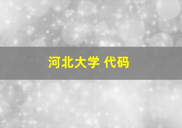 河北大学 代码